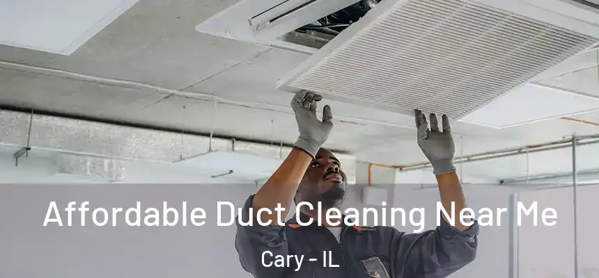 Affordable Duct Cleaning Near Me Cary - IL