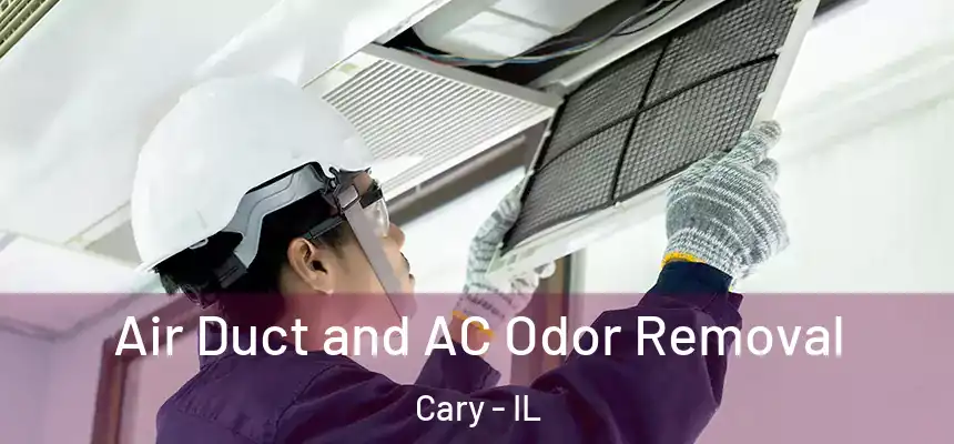 Air Duct and AC Odor Removal Cary - IL