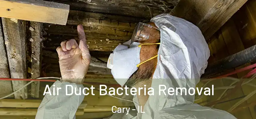 Air Duct Bacteria Removal Cary - IL