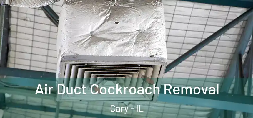 Air Duct Cockroach Removal Cary - IL