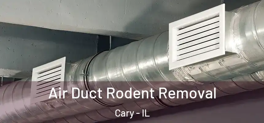  Air Duct Rodent Removal Cary - IL