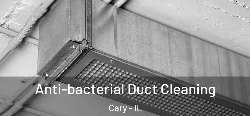  Anti-bacterial Duct Cleaning Cary - IL