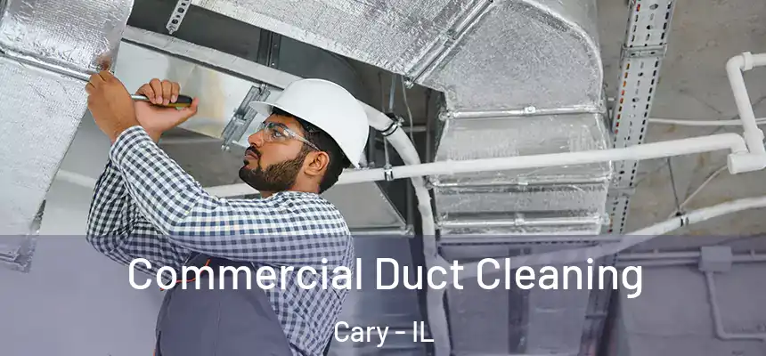 Commercial Duct Cleaning Cary - IL