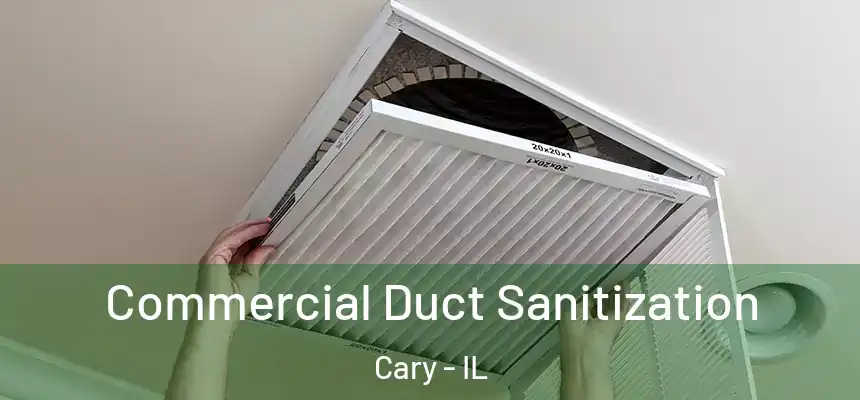  Commercial Duct Sanitization Cary - IL