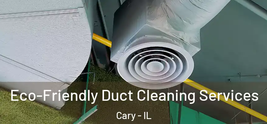  Eco-Friendly Duct Cleaning Services Cary - IL