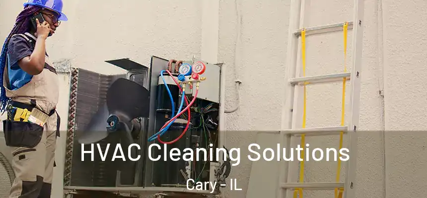 HVAC Cleaning Solutions Cary - IL