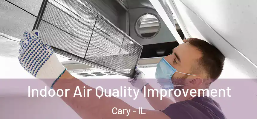Indoor Air Quality Improvement Cary - IL