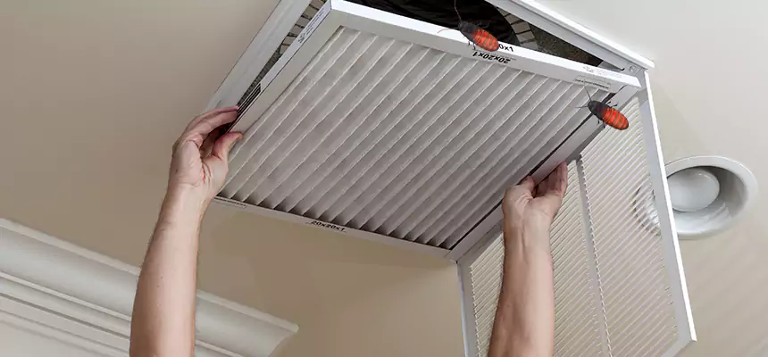 Our Insect Removal from Air Ducts Services in Cary, IL