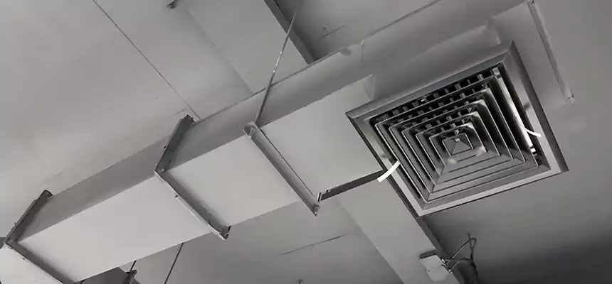 Our Rodent Droppings In Vents Services in Cary, IL