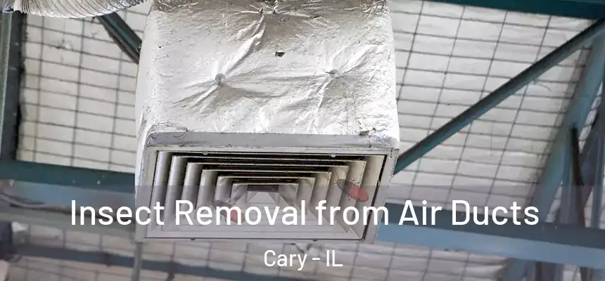 Insect Removal from Air Ducts Cary - IL