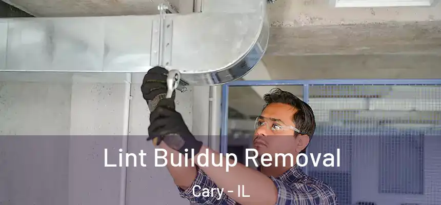 Lint Buildup Removal Cary - IL