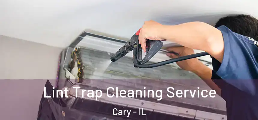  Lint Trap Cleaning Service Cary - IL