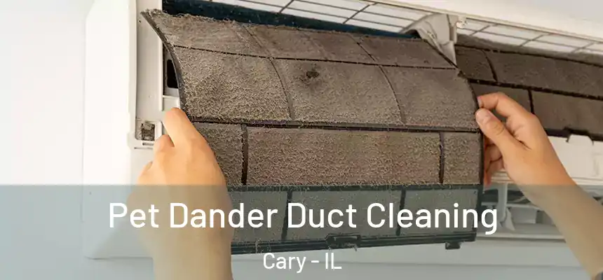  Pet Dander Duct Cleaning Cary - IL