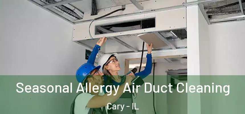 Seasonal Allergy Air Duct Cleaning Cary - IL