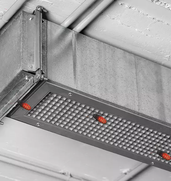 About Air Duct Cockroach Removal in Cary, IL