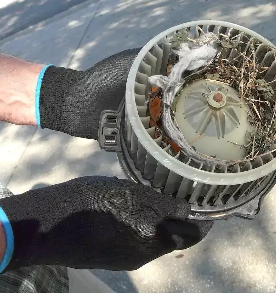 About Air Duct Rat Removal in Cary, IL