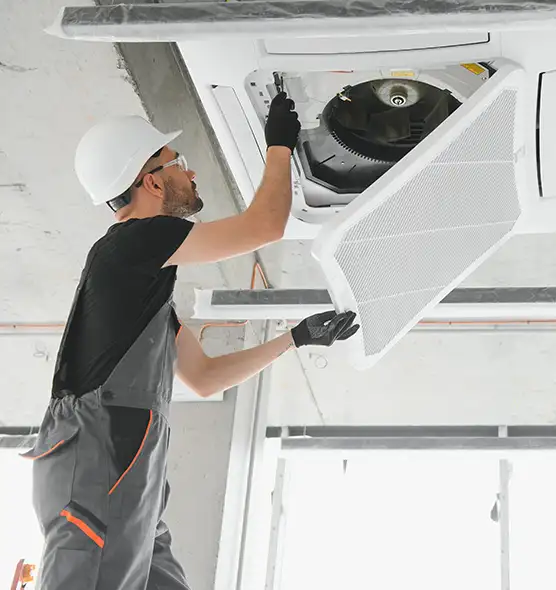 About Air Duct Rodent Removal in Cary, IL