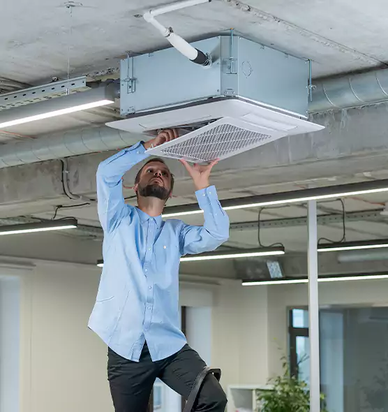 Advanced Rodent Droppings In Vents in Cary, IL