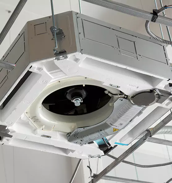 Professional Roof Vent Lint Removal Cary, IL