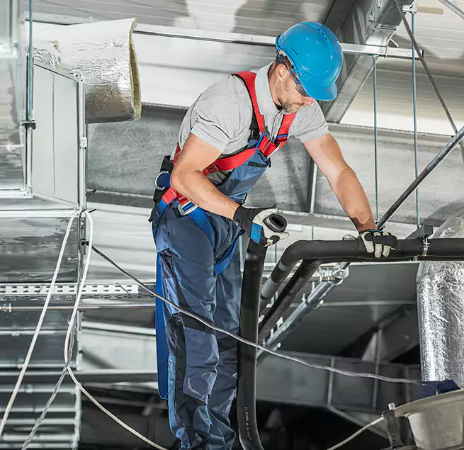 Why Homeowners & Businesses Trust Us in Cary, IL?