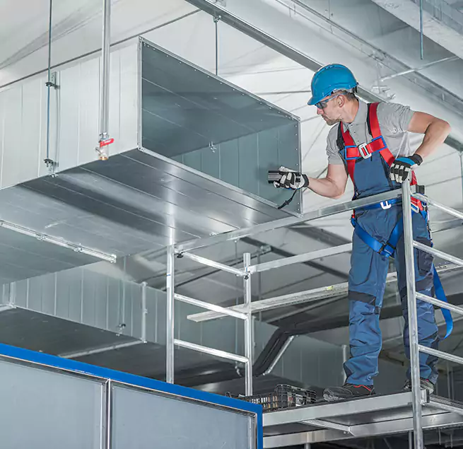 Why Homeowners & Businesses Trust Us in Cary, IL?