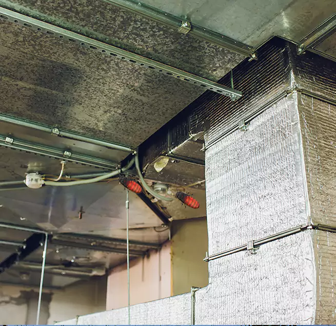 Why Homeowners & Businesses Trust Us Cary, IL?