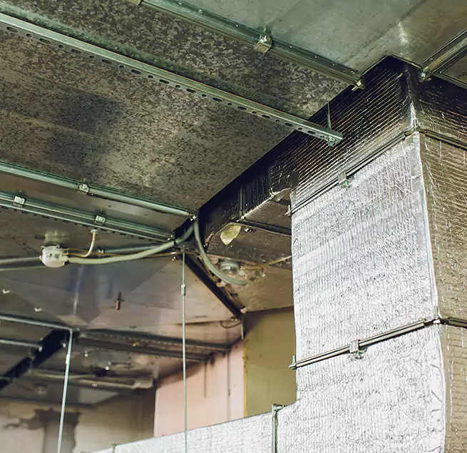 Why Homeowners & Businesses Trust Us in Cary, IL?